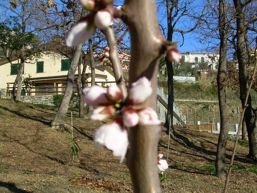 Appartement Ariabuona à Moneglia