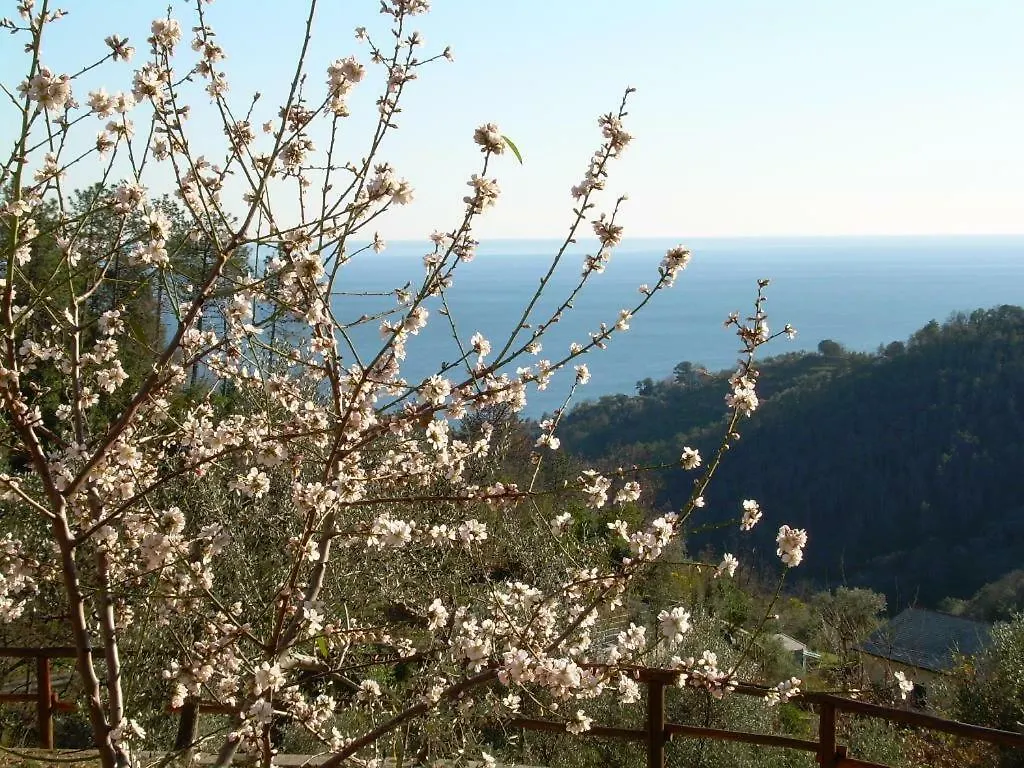 Appartement Ariabuona à Moneglia 0*,  Italie